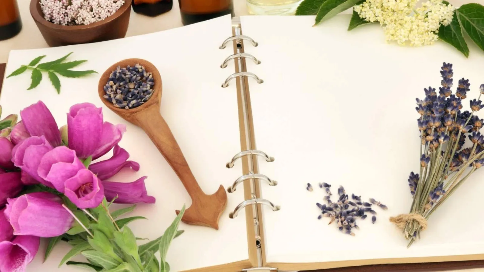 El 'Máster Naturopatía' de ISED Expert llega en octubre para dar respuesta al auge de las terapias integrativas